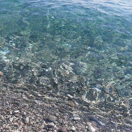 Pina's Tao Sea